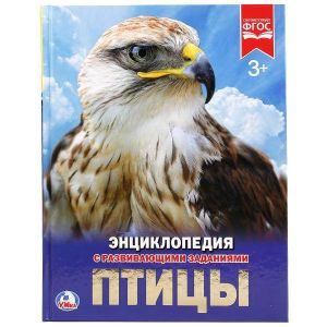 Птицы. (Энциклопедия А4 с развивающими заданиями).
