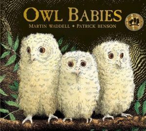 Owl Babies, board book